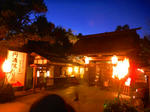 a47f4d68.jpg