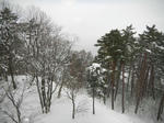 f1d33113.jpg