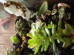 P7230032.jpg