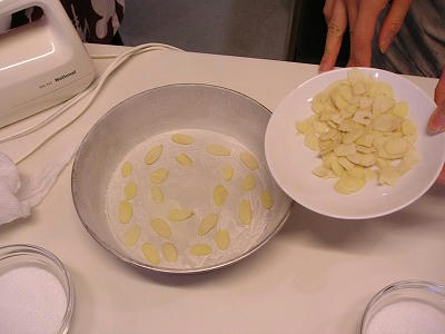 P1010623.jpg