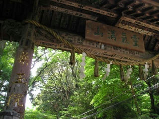 P1010870.jpg
