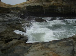 P9090012_400.jpg