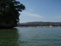 P9200039_400.jpg