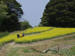 P5020154_640.jpg
