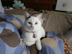 IMGP0770.jpg