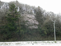 IMGP0891.jpg