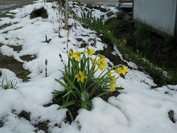 IMGP0896.jpg