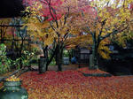 施福寺１