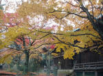 施福寺３