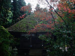 施福寺４