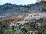 屏風岩