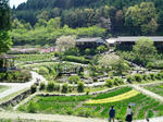 全景