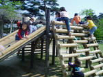丸太広場