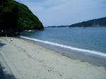 イルカ島の海岸
