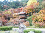 金剛院