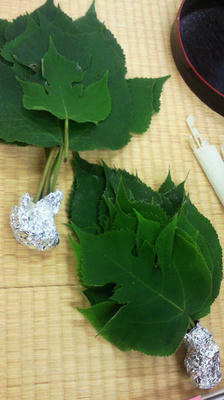 201107251056000.jpg