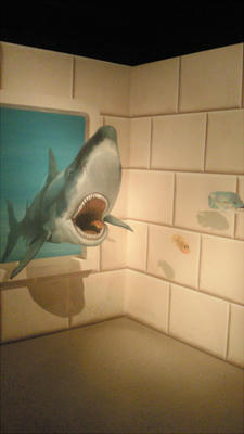 201108291116000.jpg