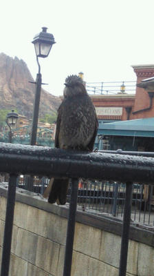 201205021416001.jpg