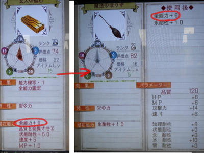 DSCN0333.jpg