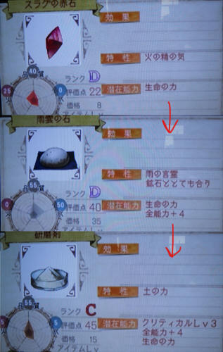 DSCN0347.jpg