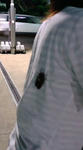 20090803224504.jpg