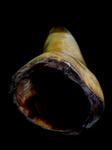 dbe37b41.jpg