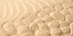 e80d4987.jpg