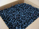 blueberry.JPG