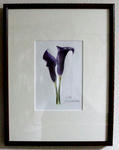 DSC05593.JPG