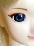 かすたむへっど