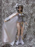ds33売り物