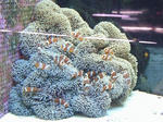 52ba86be.jpg