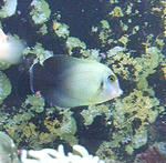 c984c00f.jpg