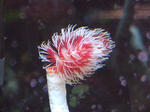 8f8d3318.jpg
