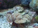26507e8c.jpg