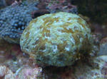 80dcf771.jpg