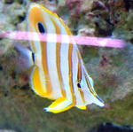 6d8098bd.jpg