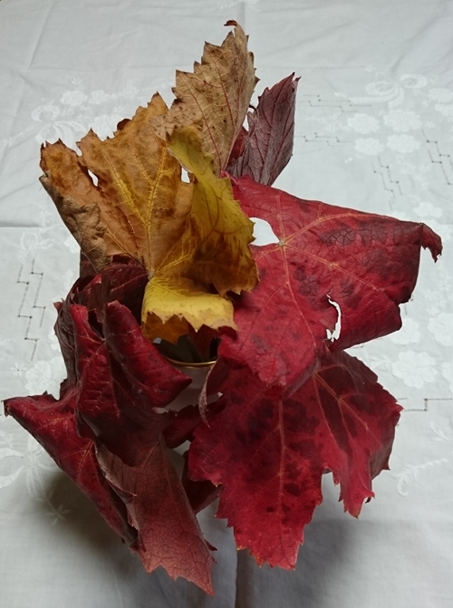 紅葉最後のオリエンタルスチーの葉