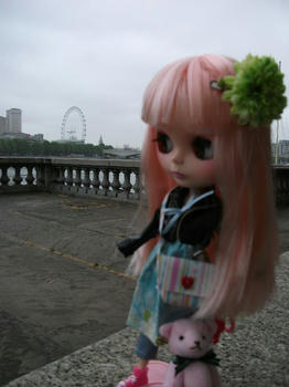 DSCF0346.jpg