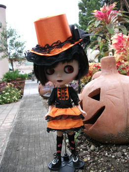 DSCF0781.jpg