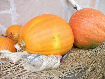 DSCF0788.jpg