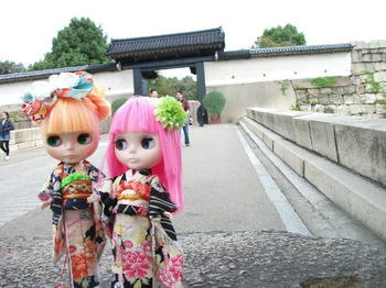DSCF0965.jpg