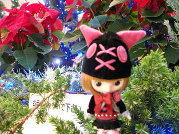 DSCF1129.jpg