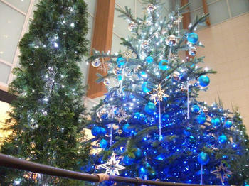 DSCF1135.jpg