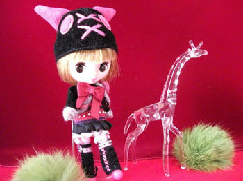 DSCF1314.jpg
