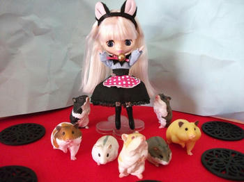 DSCF1320.jpg