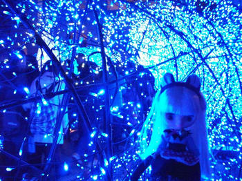 DSCF1413.jpg