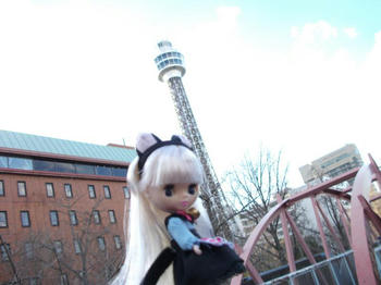 DSCF1393.jpg