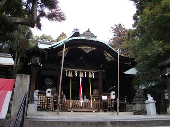 DSCF1527.jpg