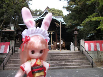 DSCF1534.jpg